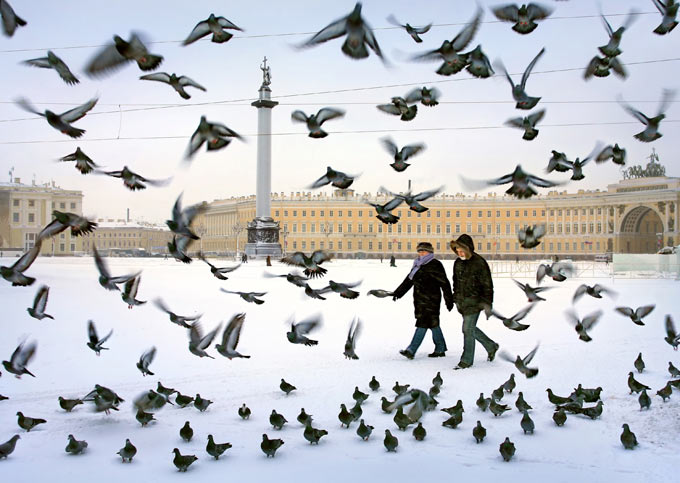 Голуби на Дворцовой площади Фото: Александр Петросян/Коммерсантъ