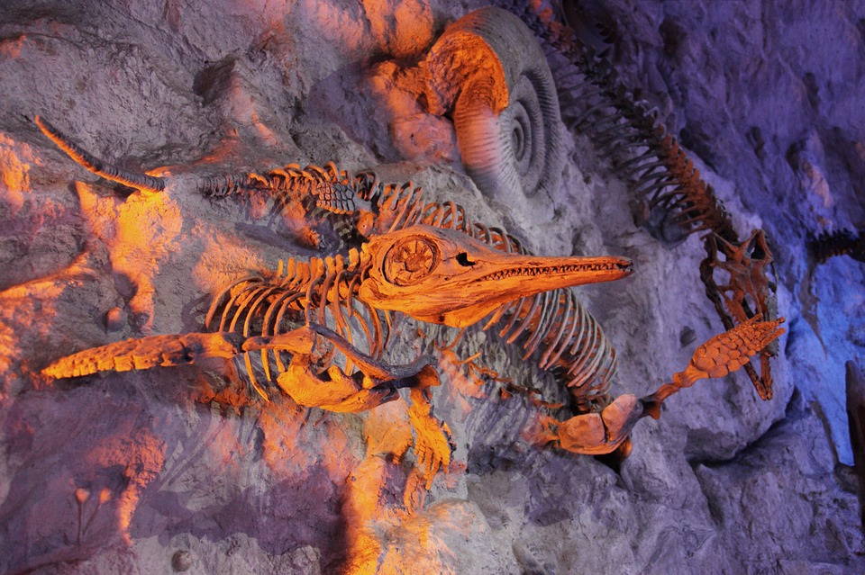 В Бразилии обнаружили два вида доисторических животных — Ученые
