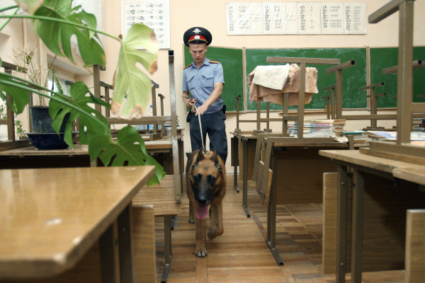 Наркополицейские с собаками придут в школы Петербурга