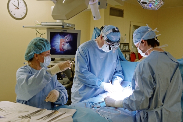 Трансплантологи: «Отдай свое сердце»