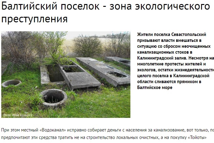 Благодаря ОК-информ Калининградский залив прекратят травить