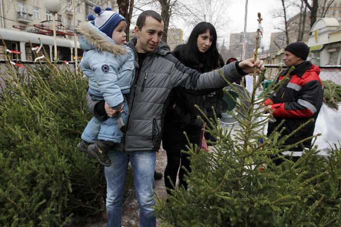 Покупатель выбирает елку на одном из елочных базаров Фото: Руслан Кривобок РИА Новости